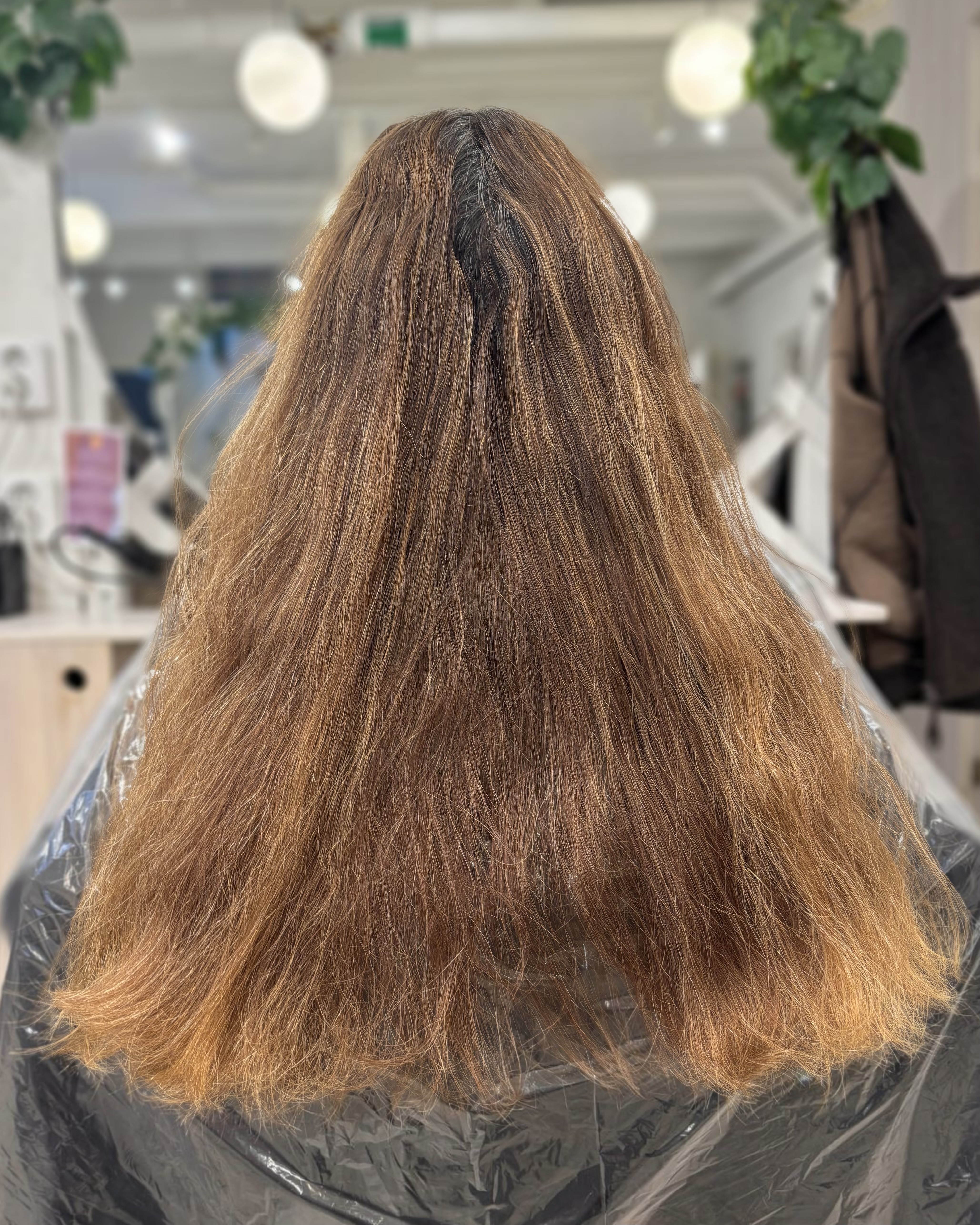 Brun hårfärg med slingor