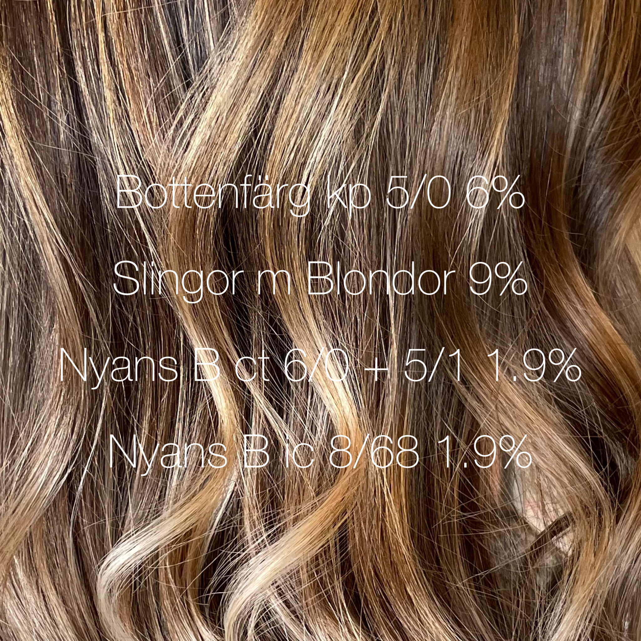 Varm brun hårfärg med ljusa slingor 🍫