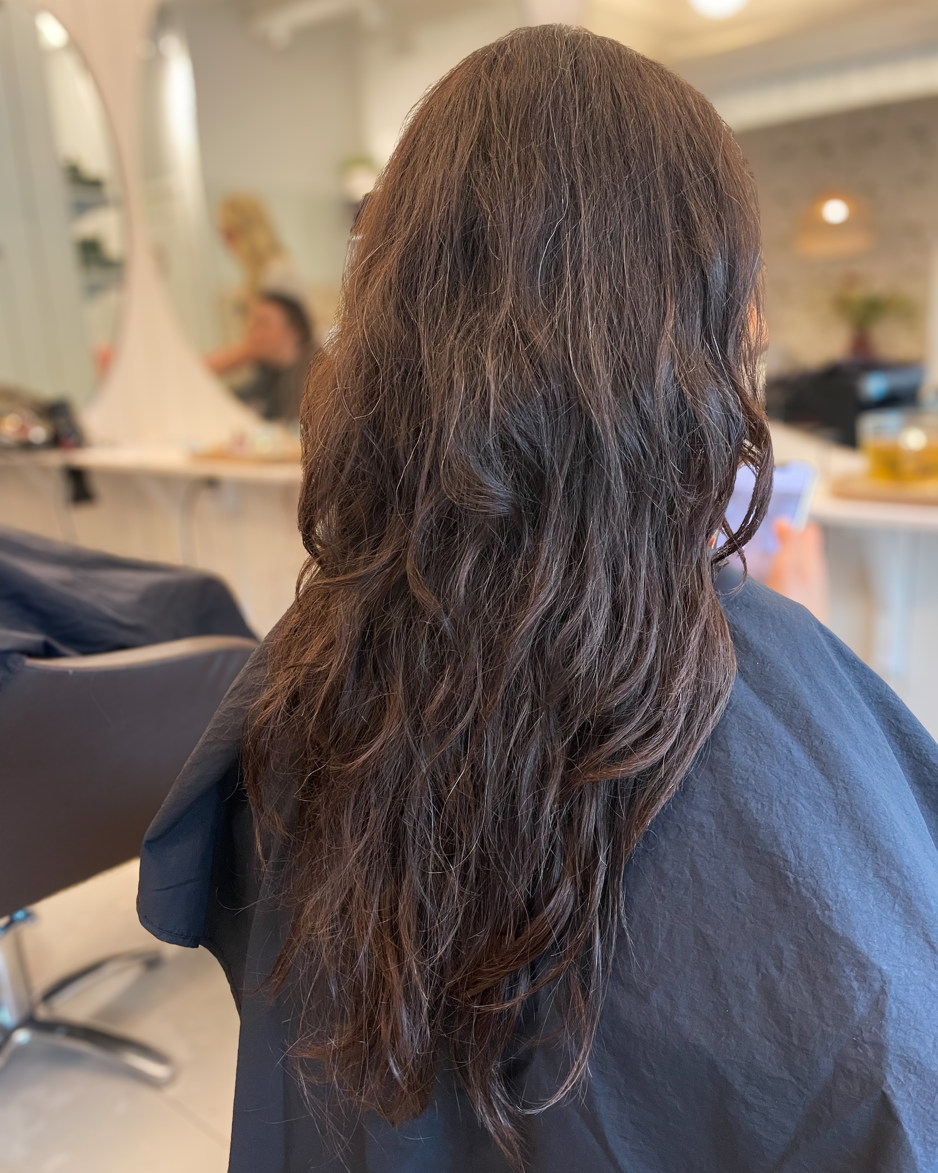 Chocolate highlights hair ✨🍫