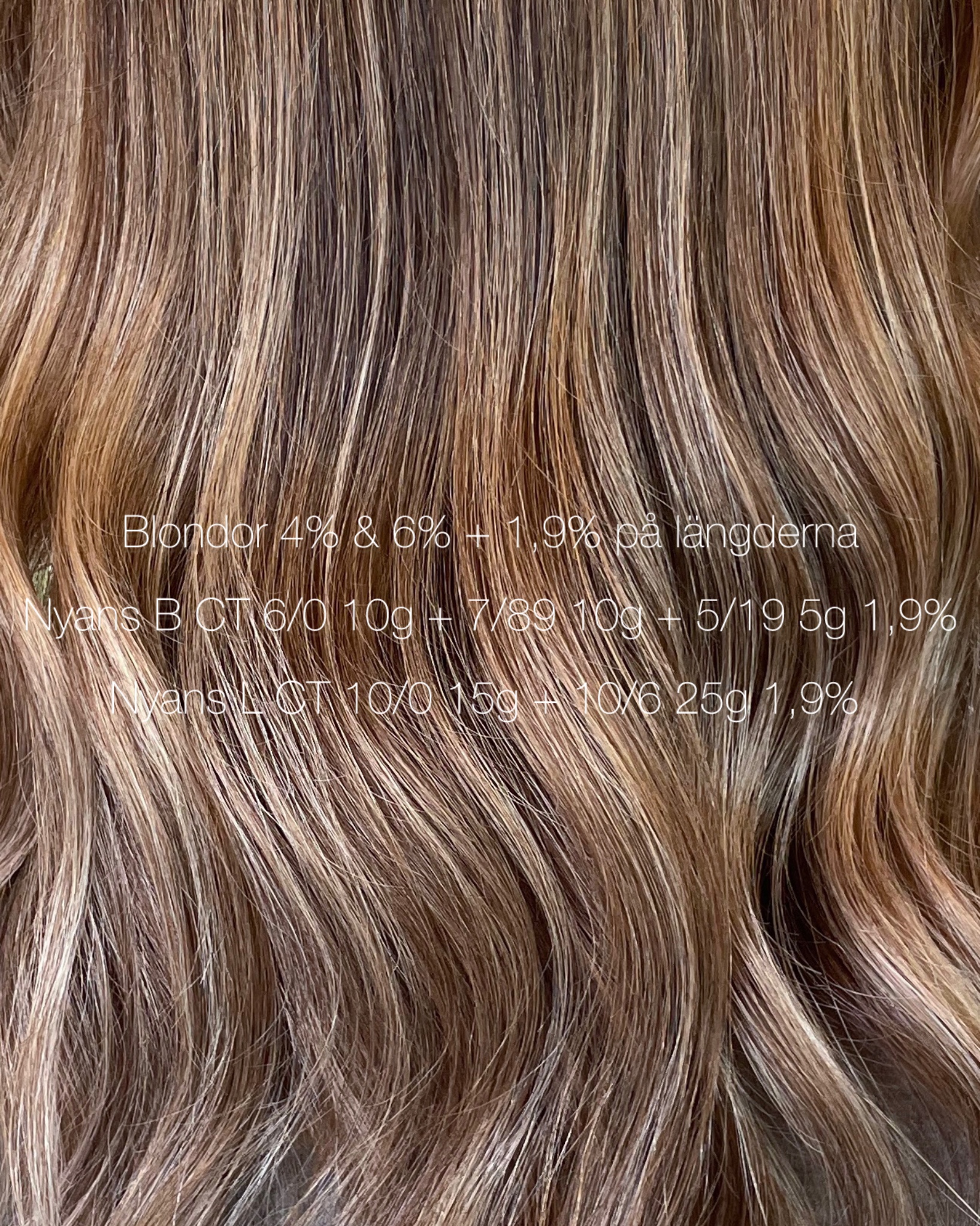 🐻Teddy bear beige hair✨