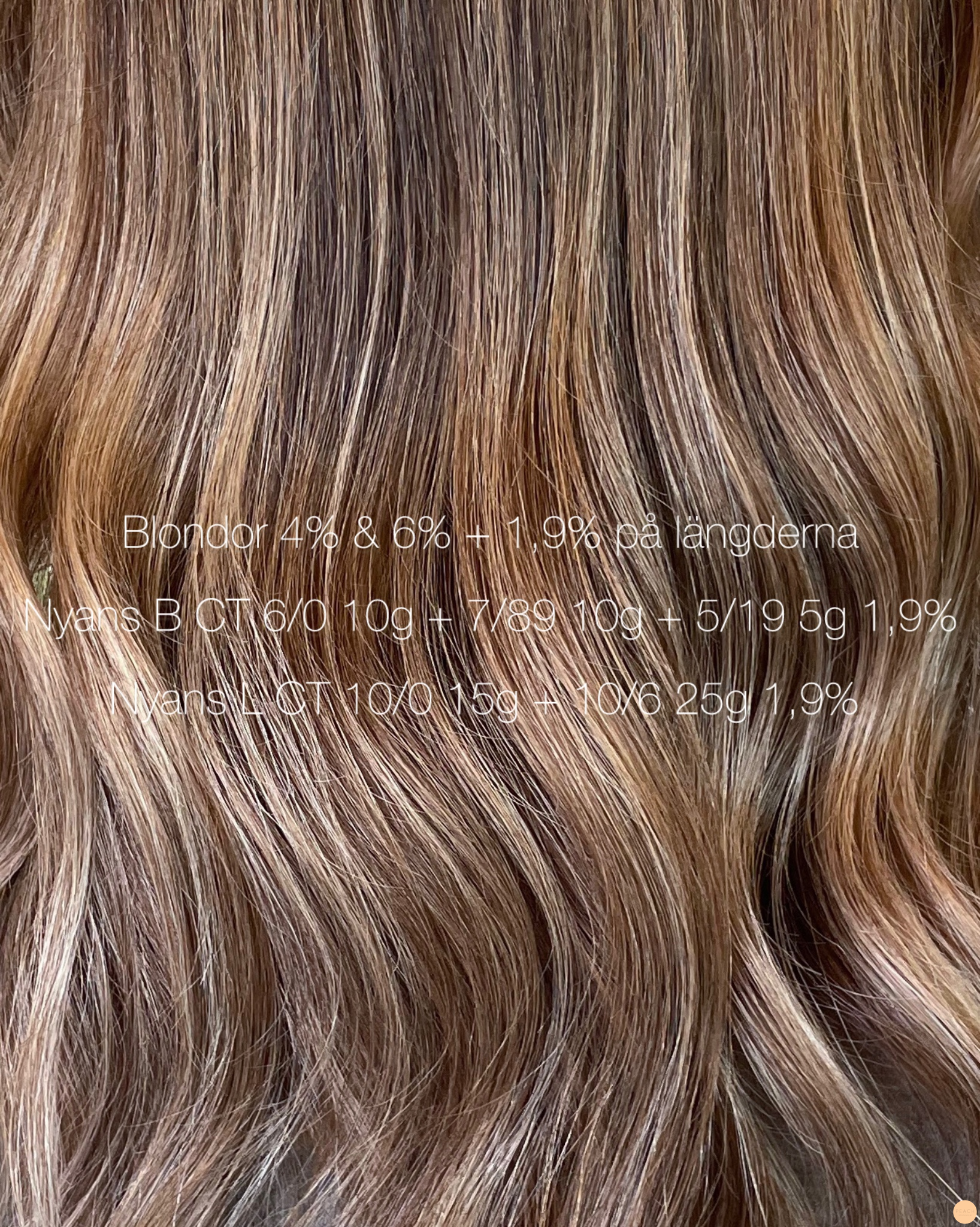 🐻Teddy bear beige hair✨