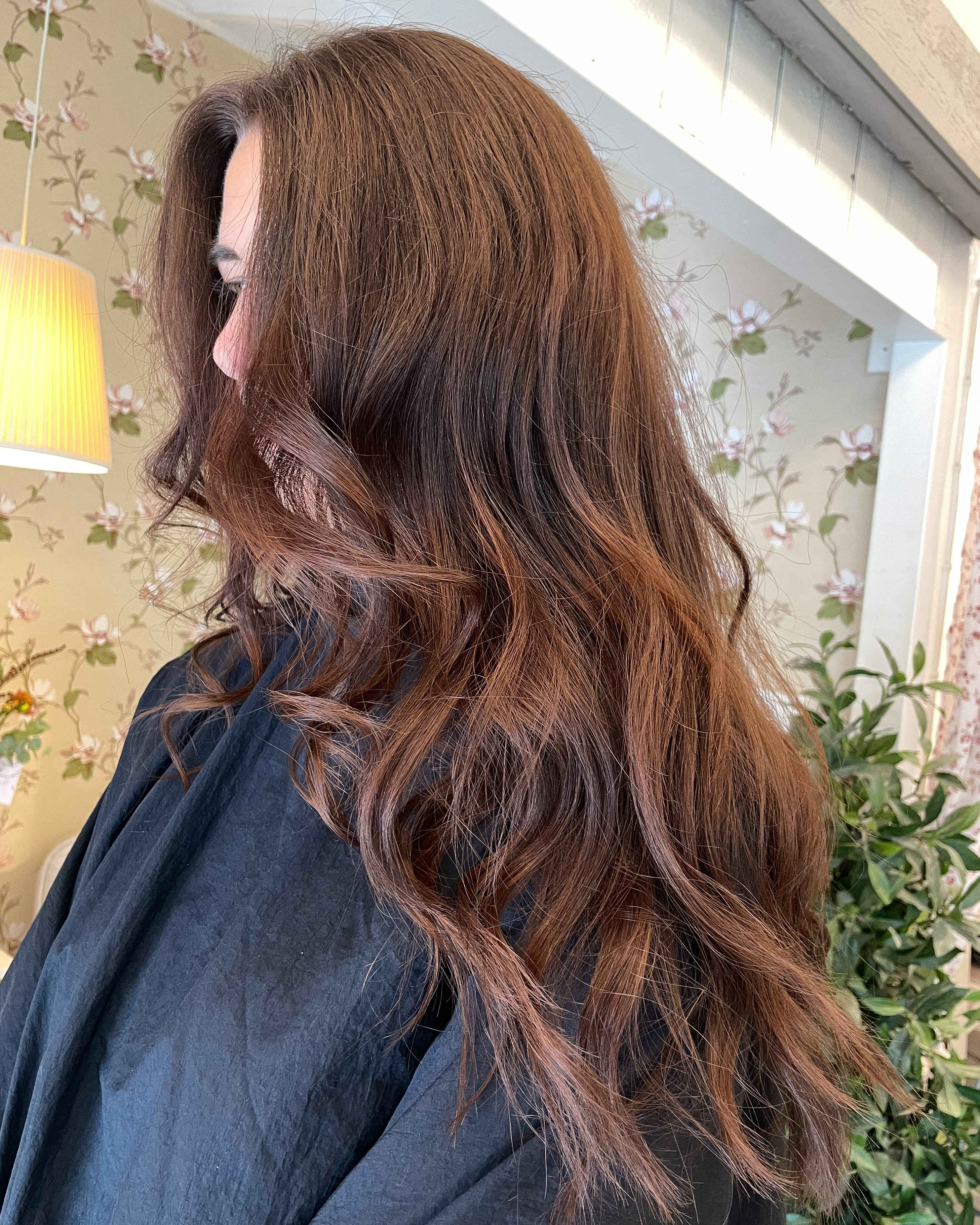 Chocolate brown hair