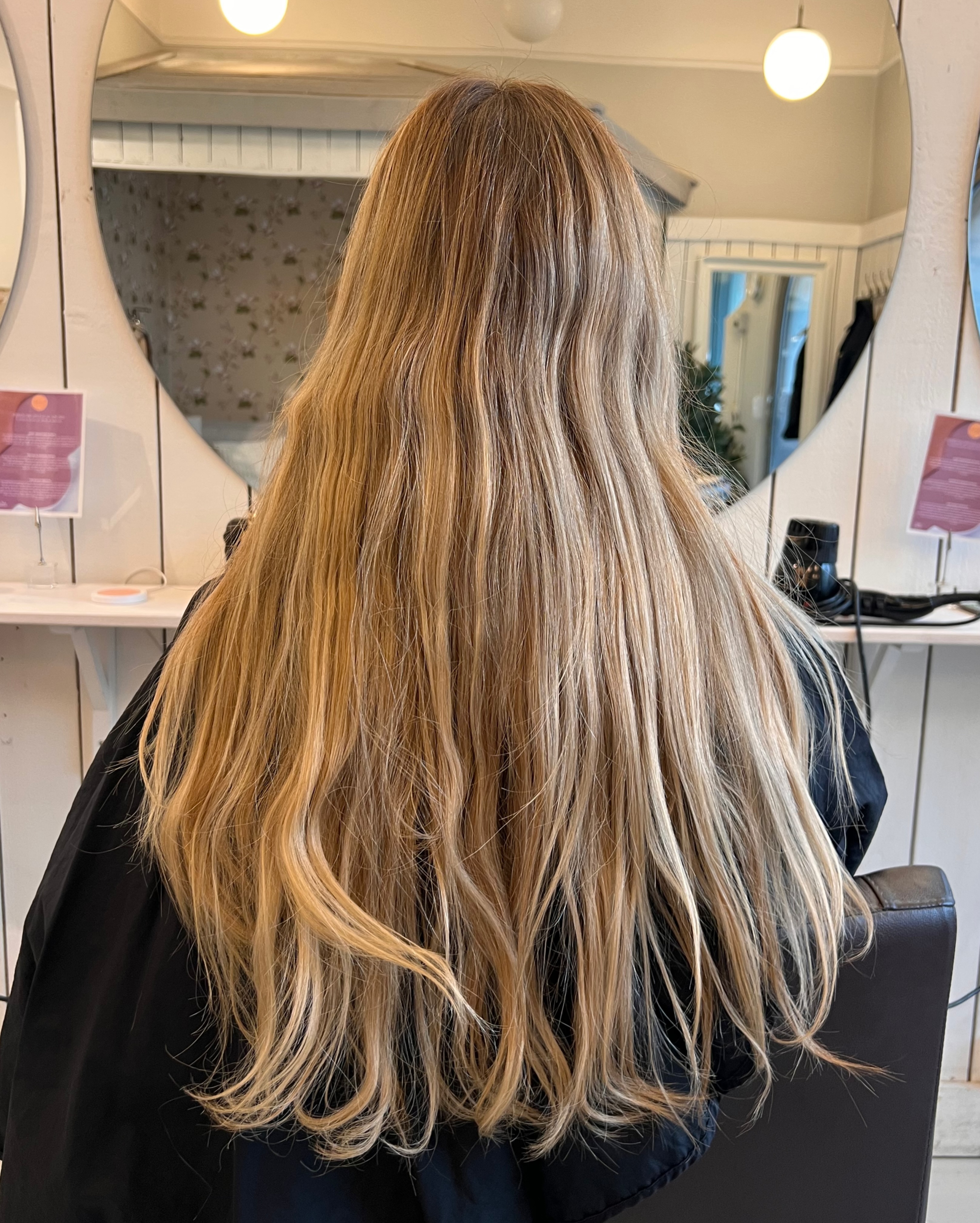 Teddy bear bronde hair color 🤎