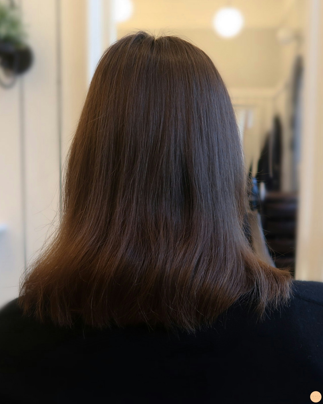 Balayage ljusa slingor i brunt naturligt hår för en fin varm hårfärg