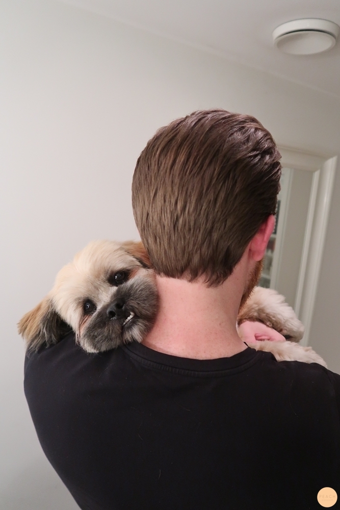 Klippning av skägg och herrfrisyr kort hår