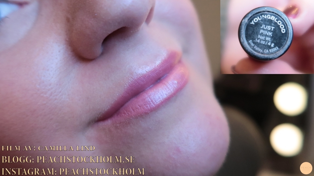 Lipstick haul från Youngblood 2017 + 4 myter om hår!