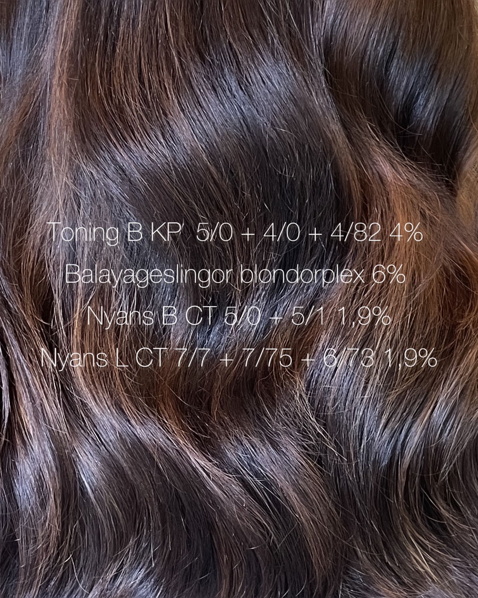 Chocolate highlights hair ✨🍫