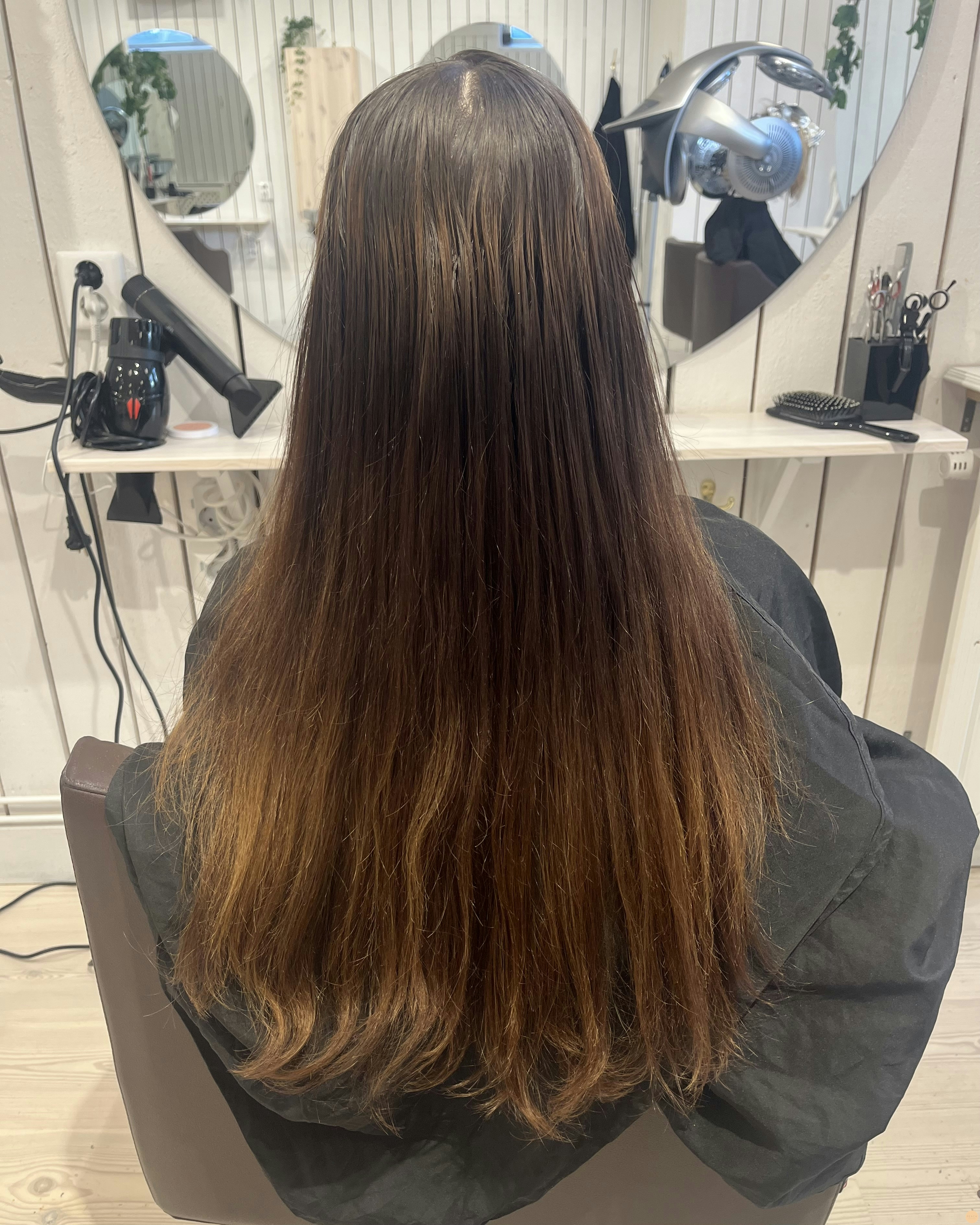 Warm brown hair🤎