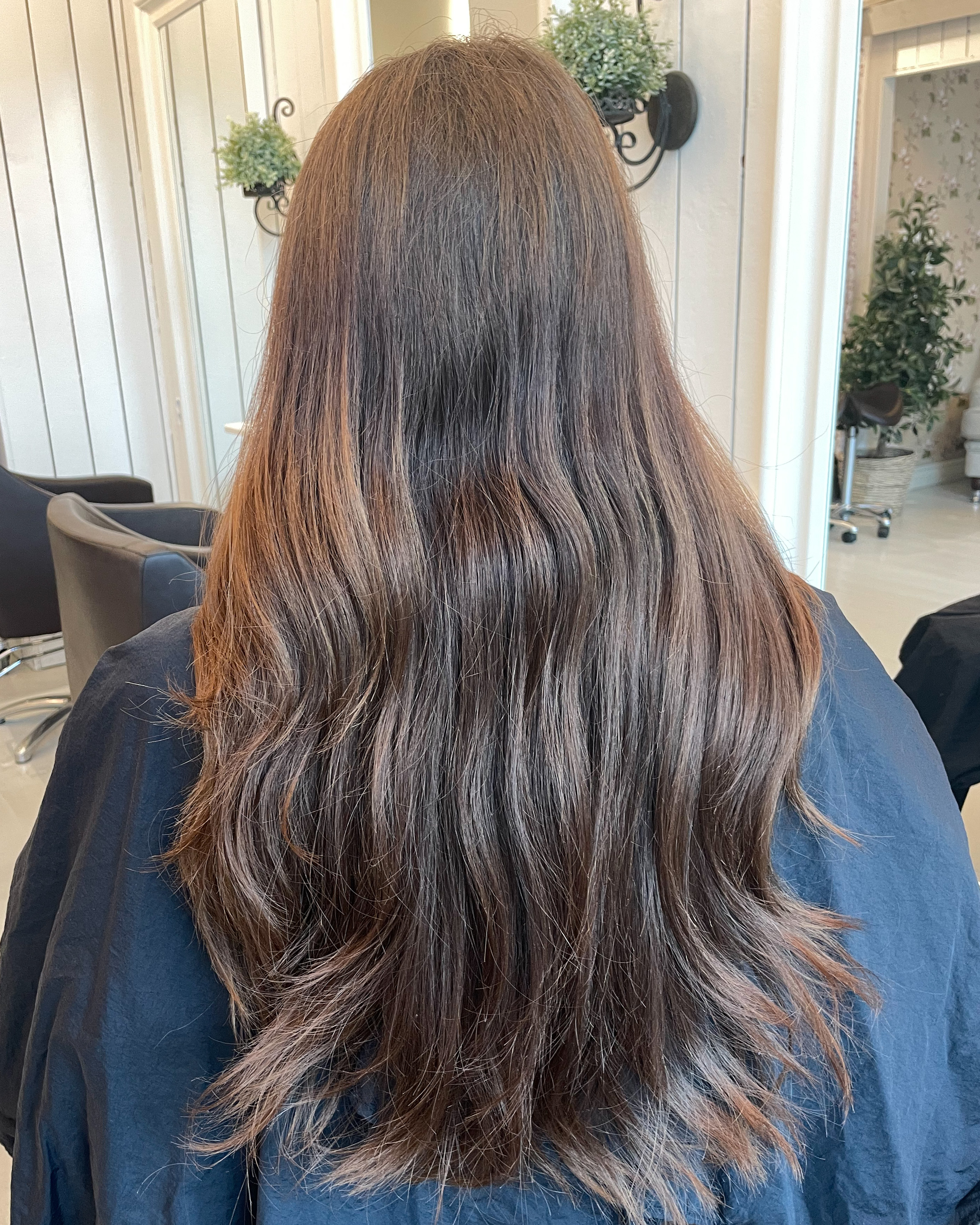 Chocolate brown hair