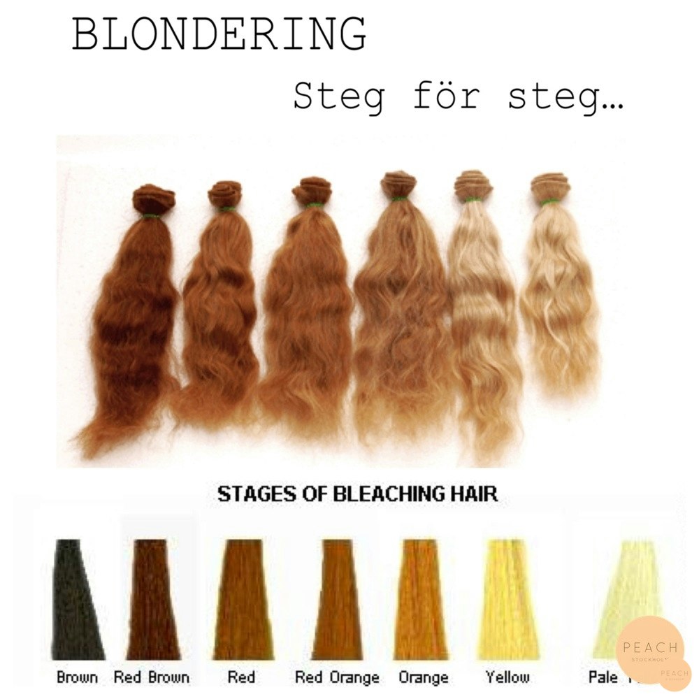 Hur Får Man Långt Hår Tips på hur man får långt hår, hur man donerar hår, tips på styling etc