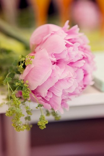 Sommarmingel på Peach Stockholm