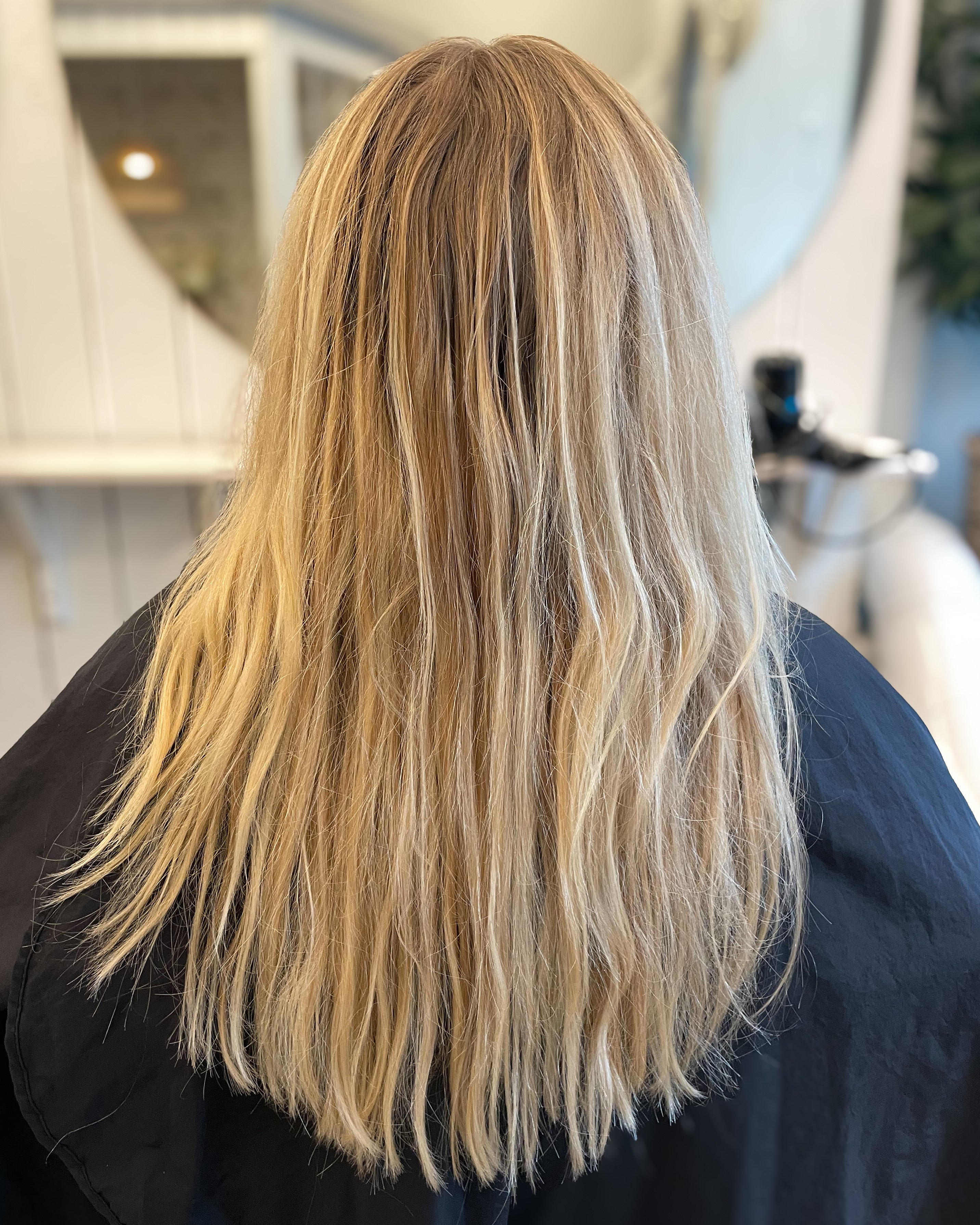 Mustigare hår färg 🍂🍁