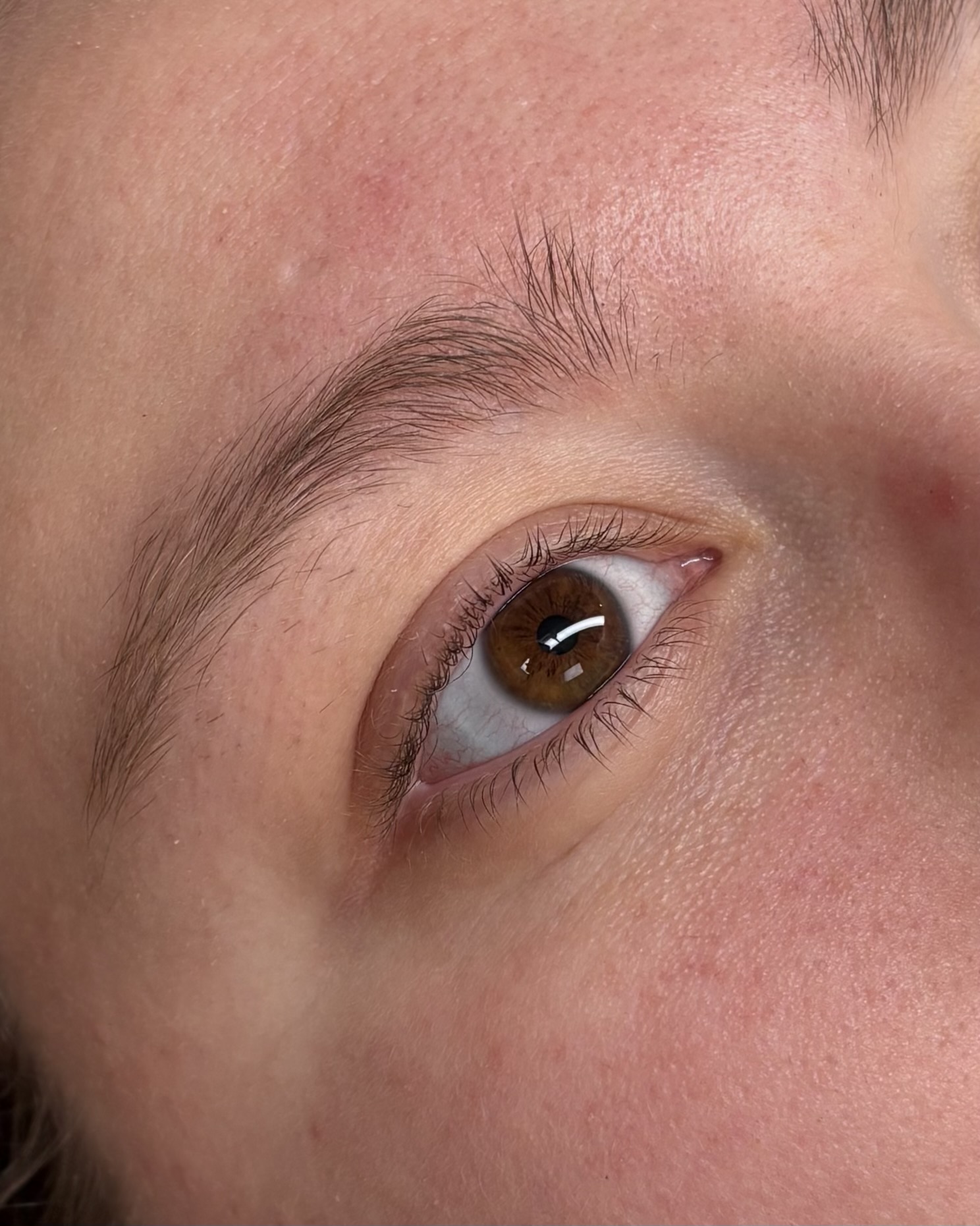 Naturlig fransförlängning stockholm