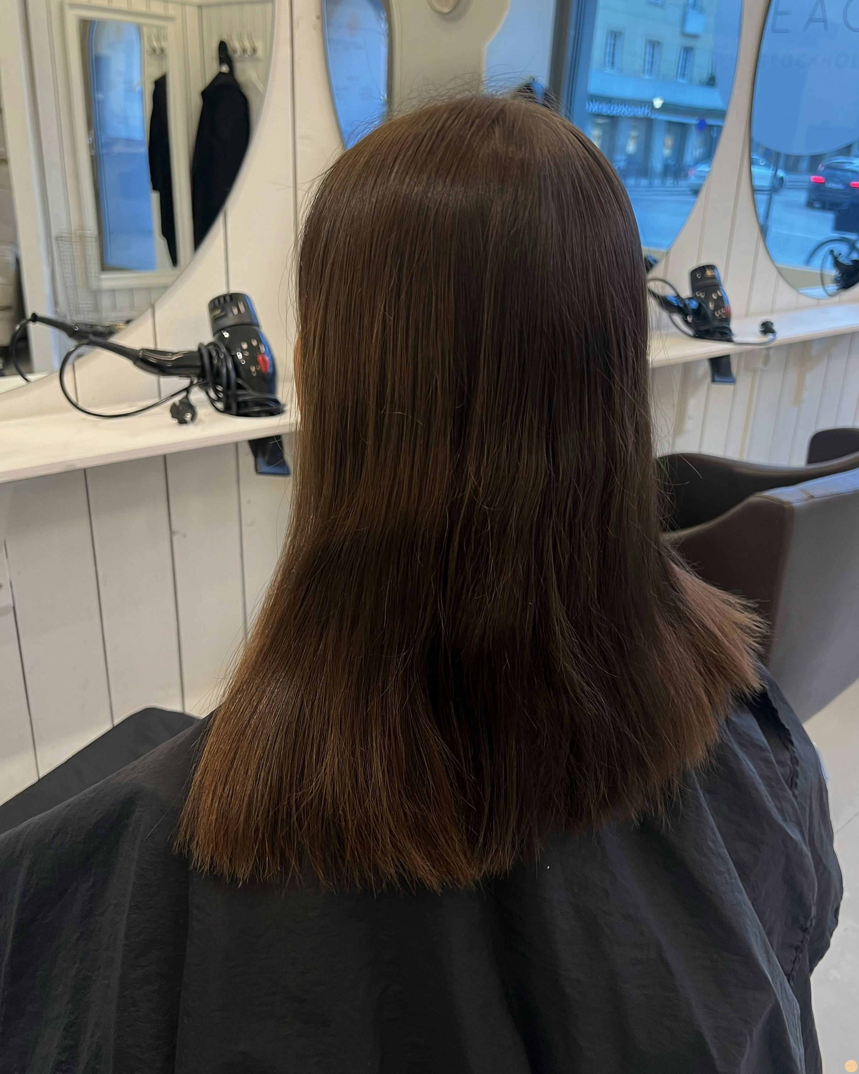 Brown hair with highlights