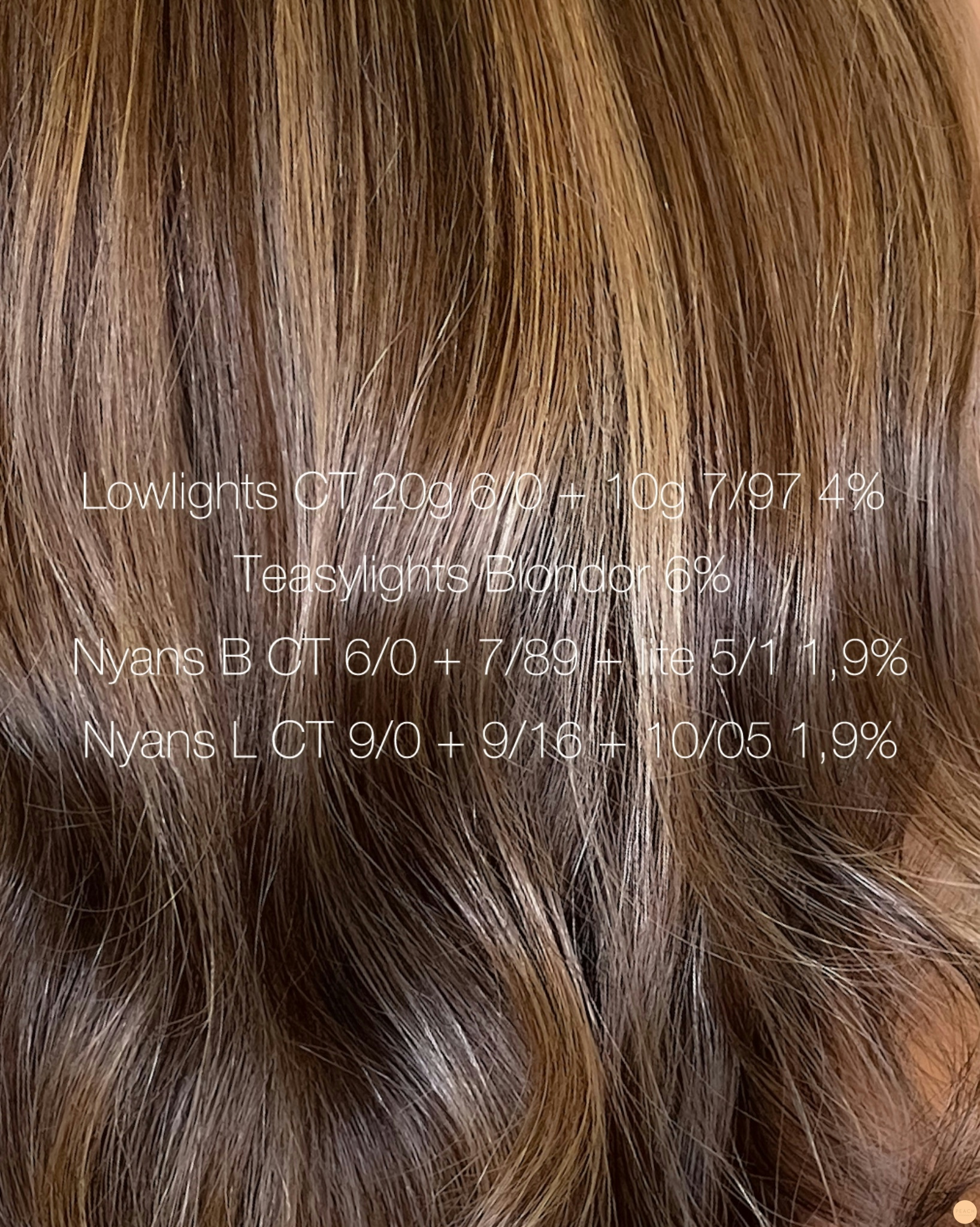 Teddy bear bronde hair