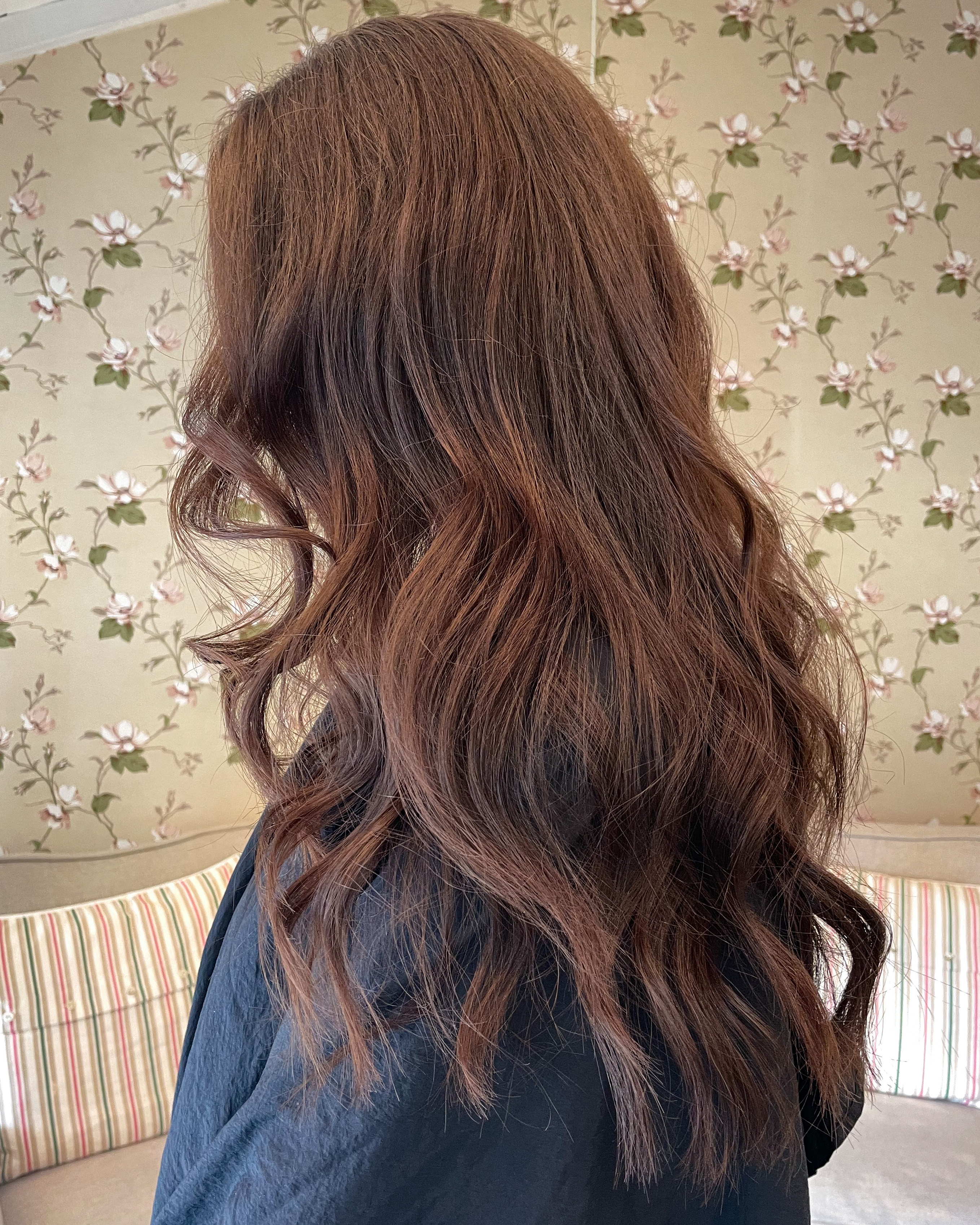 Chocolate brown hair