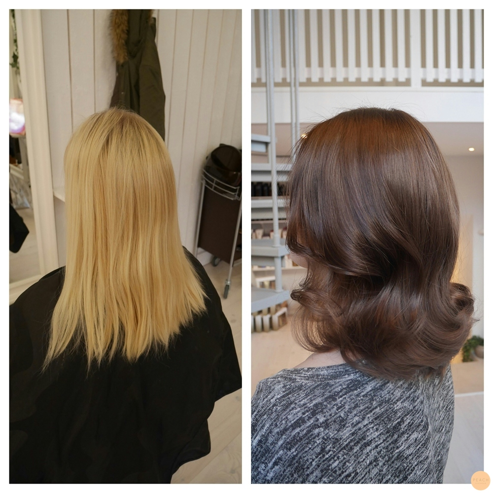 Från ljust till mörkt hår