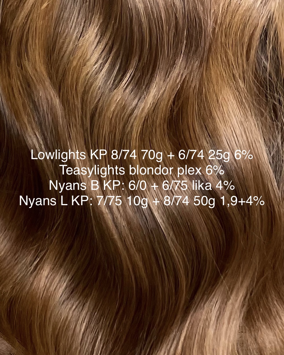 Hasselnöts koppar hårfärg 🧡🍂