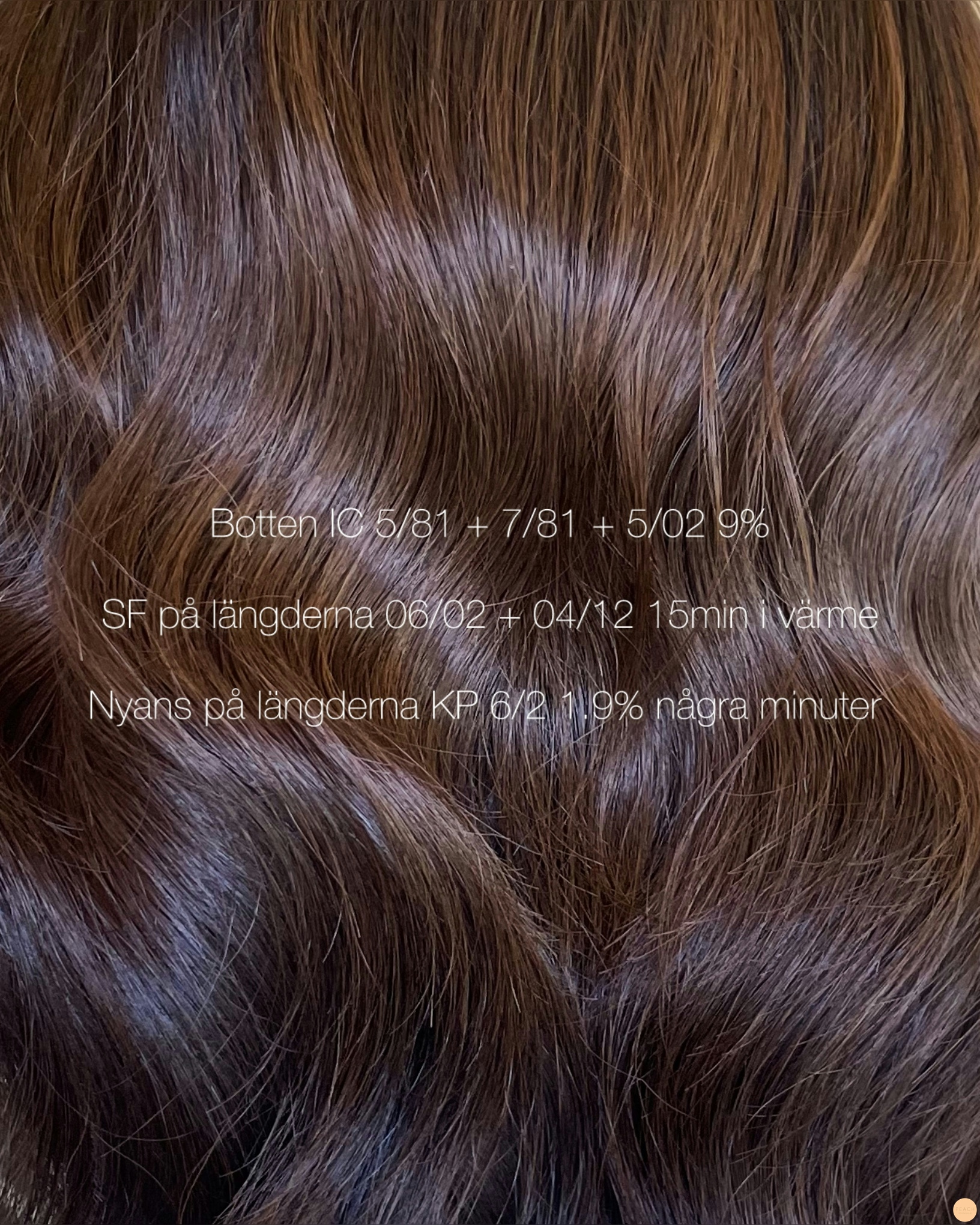 Brun hårfärg 🤎🌟